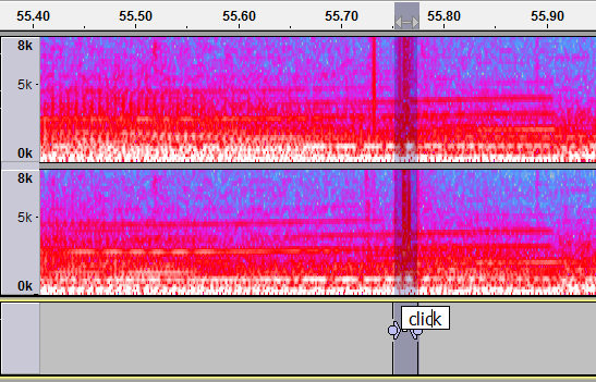 Clicky example spectrogram view click labelled.png