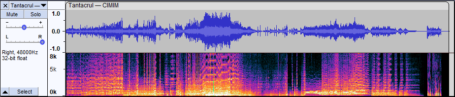 SpectrogramView Intro 00.png